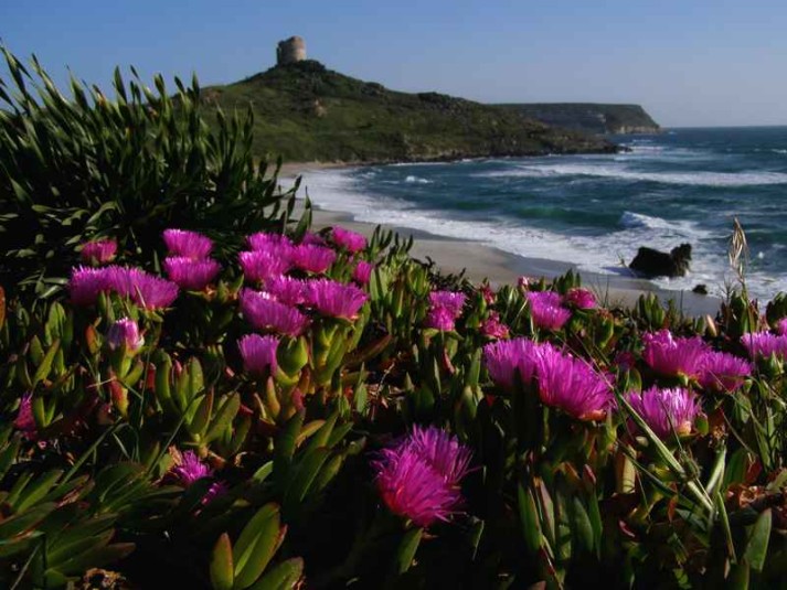 Sardegna, inizia la stagione turistica: bene la Pasquetta