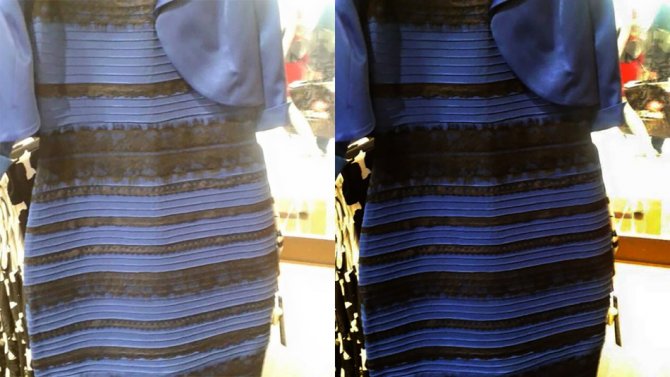 Dilemmi virali sul colore del vestito: assurdi o utili?
