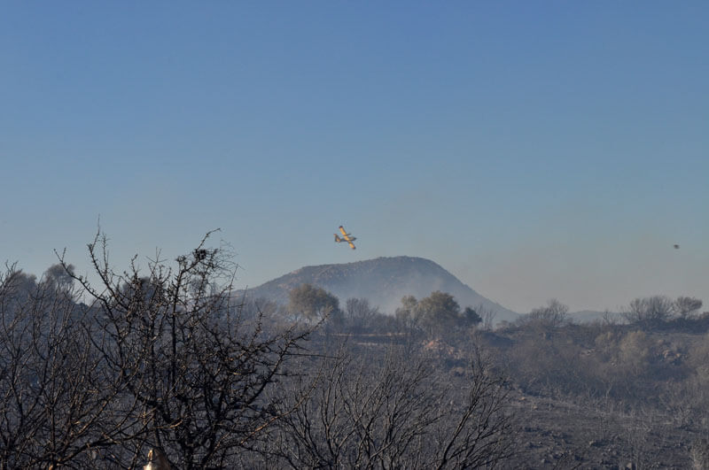 Incendi in Gallura: 2 case distrutte, 60 ettari bruciati