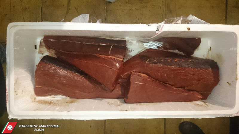 Porto Cervo: sequestrati 135kg di pesce in un noto ristorante