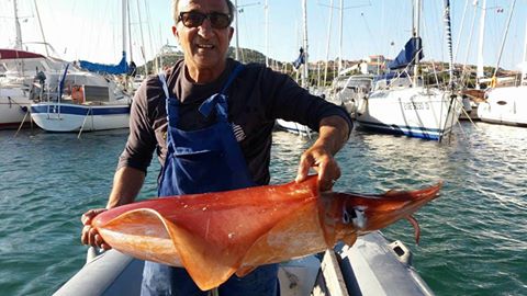 Olbia, pesca record a Porto Rotondo: ecco il totano gigante!