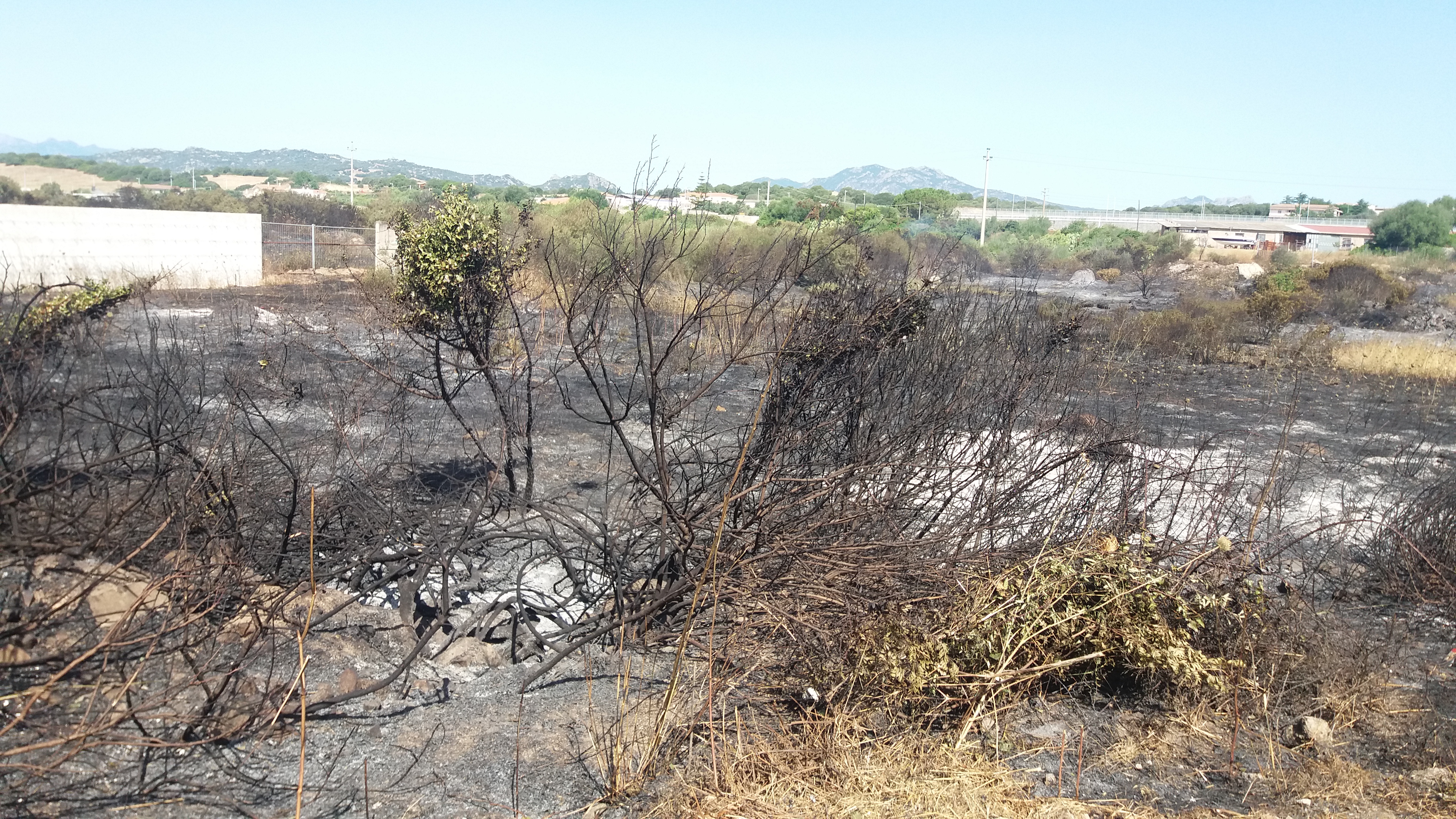 Sardegna: 33 incendi nella giornata di ieri