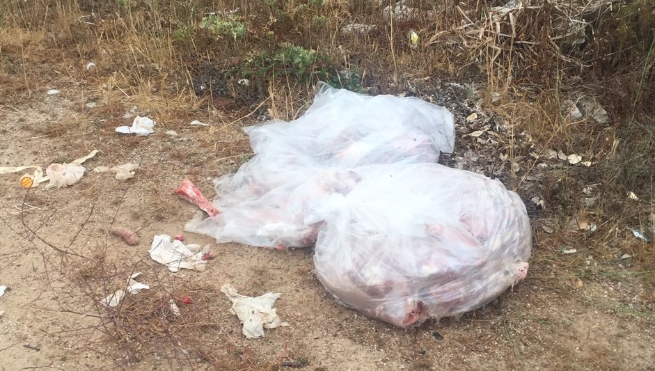 Olbia: trovati sacchi pieni di carne putrescente a Santa Mariedda