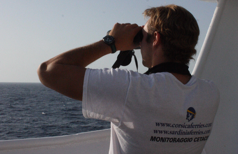 Sardinia Ferries protegge le balene: installato il sistema anti-collisioni