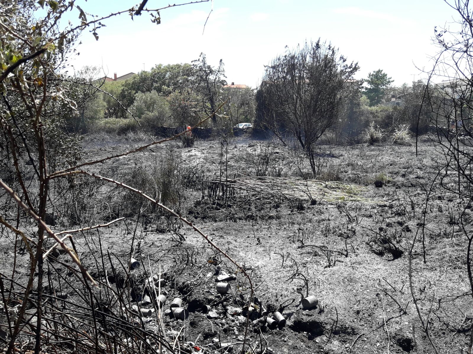 Incendio tra Loiri e Padru: è doloso