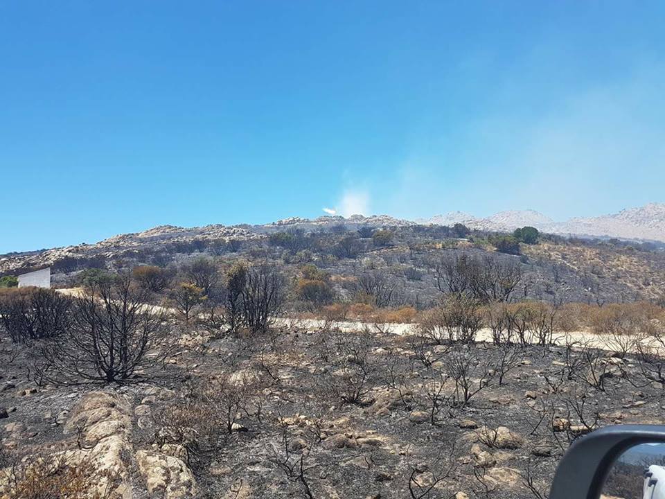 Alà dei Sardi, danni incalcolabili: 2000 ettari bruciati