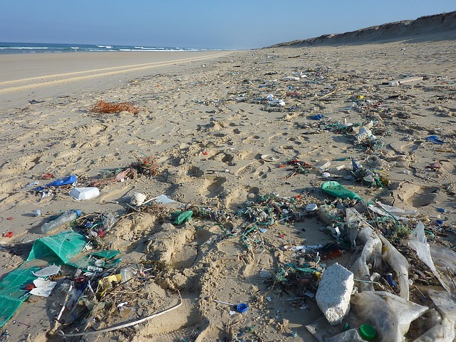 Spiagge inquinate: i volontari salvano Cala Spada