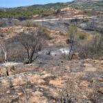 costa-corallina-010