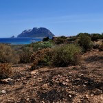 costa-corallina-02