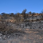 costa-corallina-04