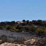 costa-corallina-05