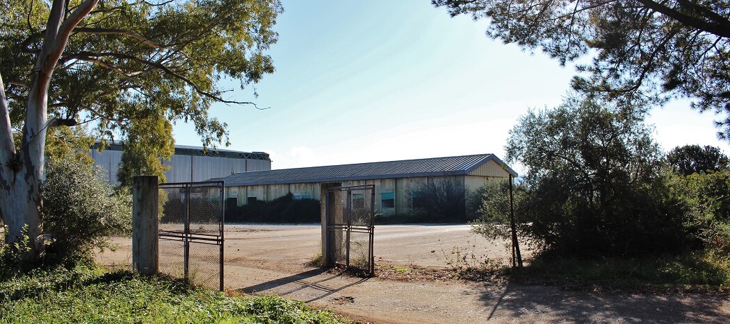 Aeroporto abbandonato vena fiorita