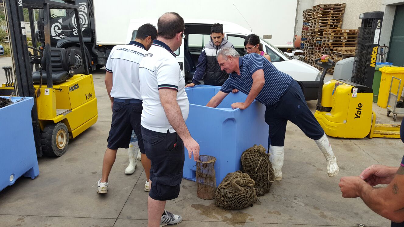 olbia allevamento cozze via redipuglia 001