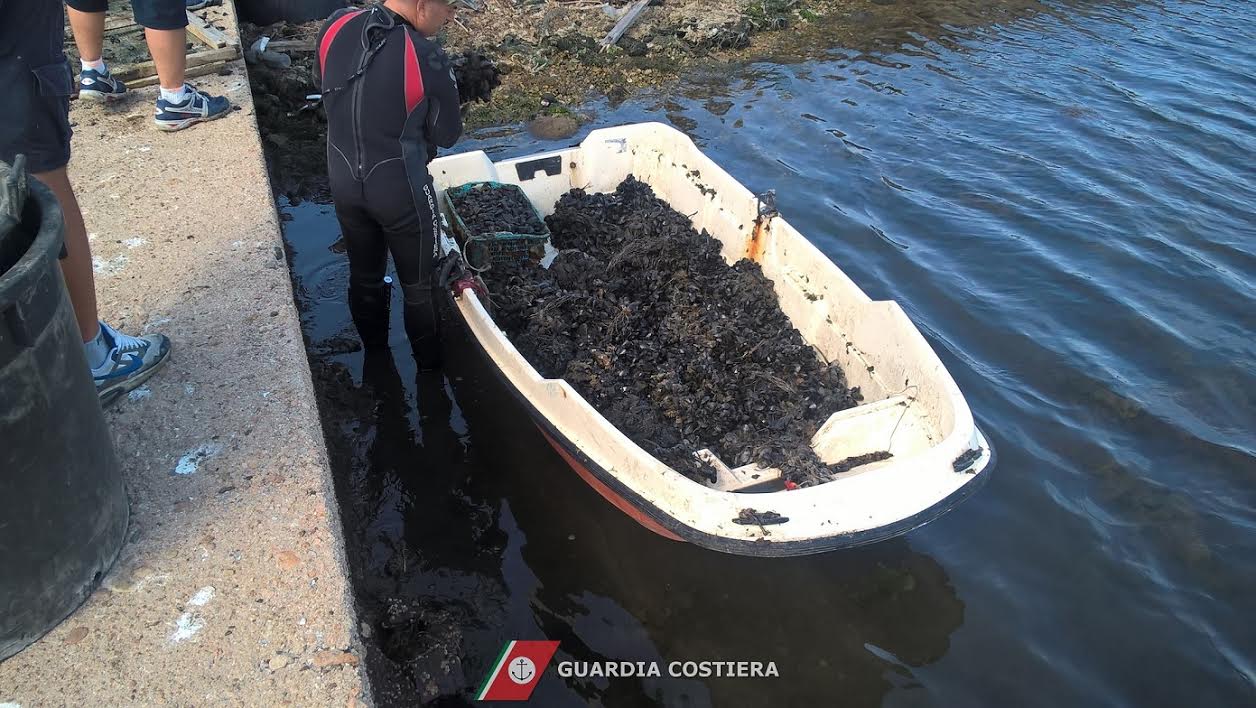 anguille cozze allevamento abusivo peschiera olbia