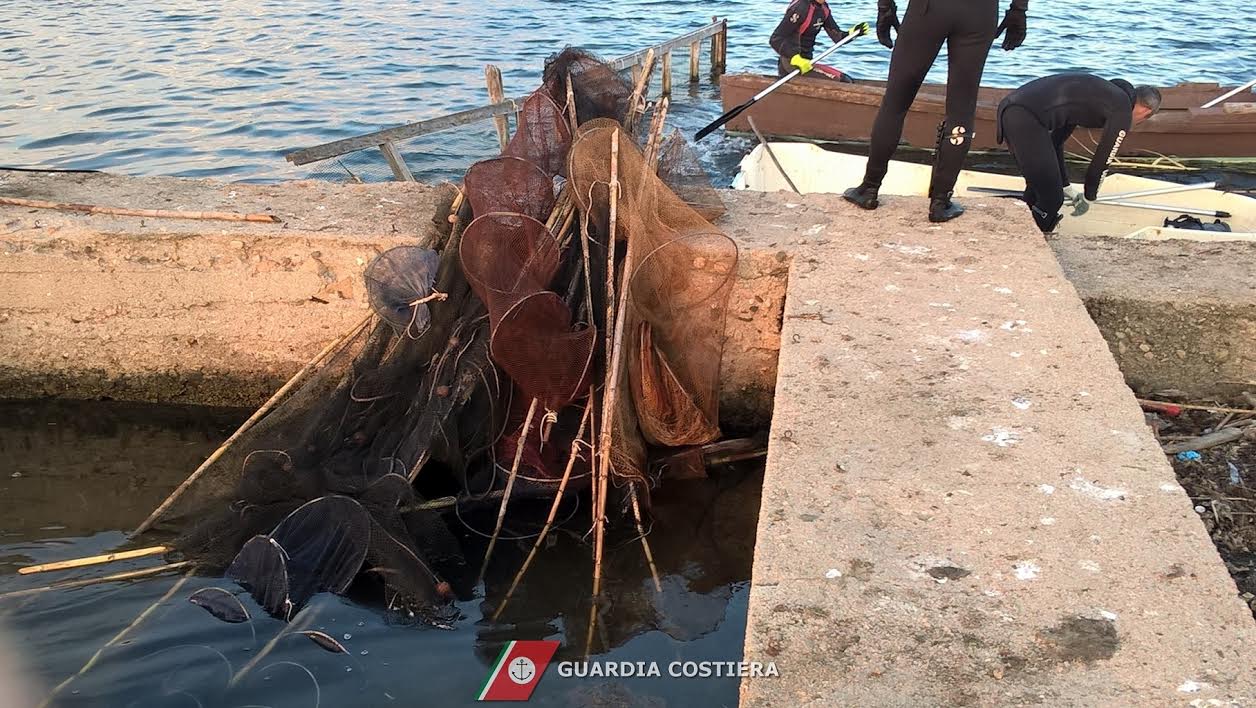 cozze allevamento abusivo olbia nasse