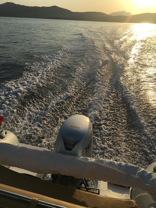 noleggio gommoni olbia e golfo aranci senza patente