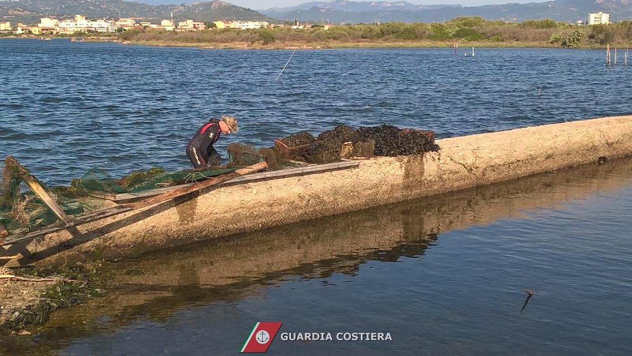 olbia allevamento abusivo cozze peschiera 3