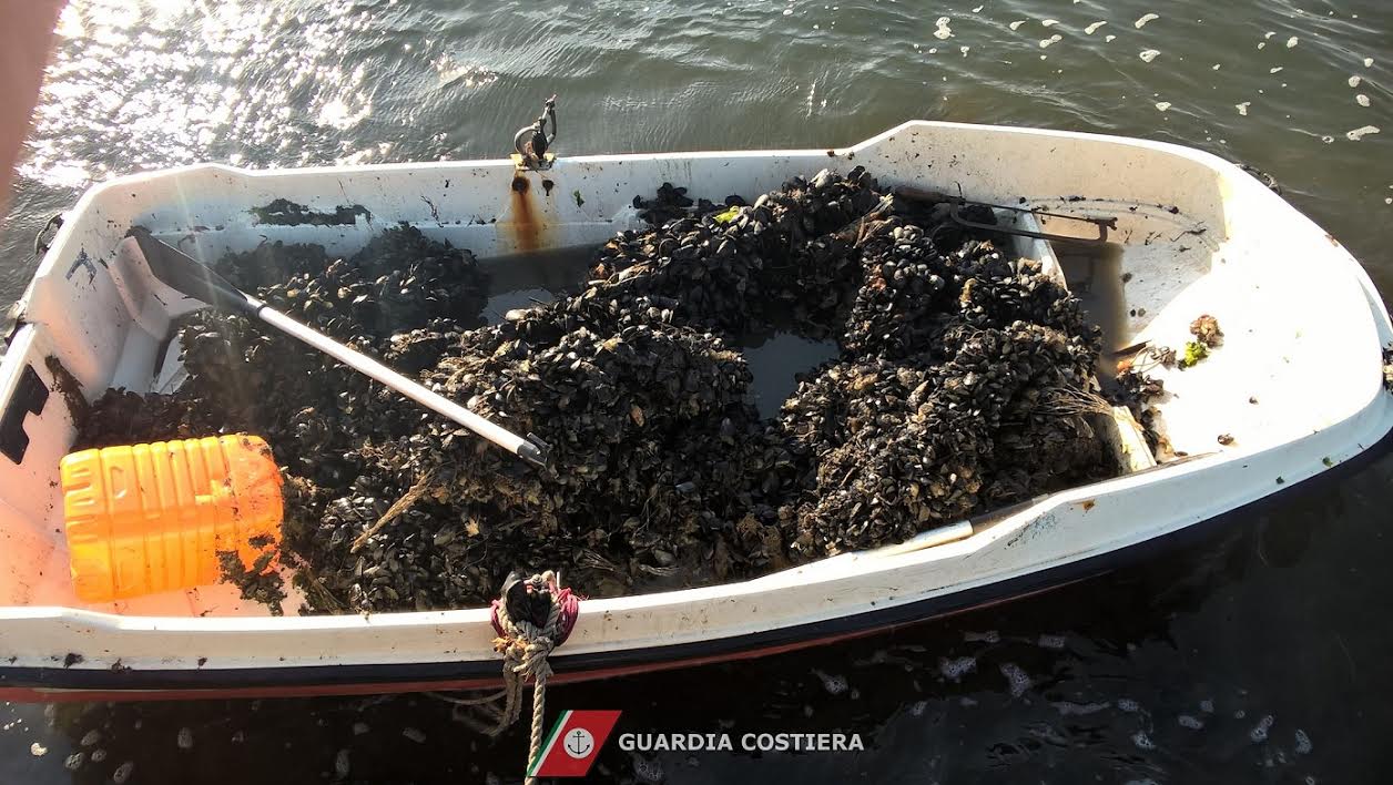 olbia cozze allevamento abusivo sequestrato