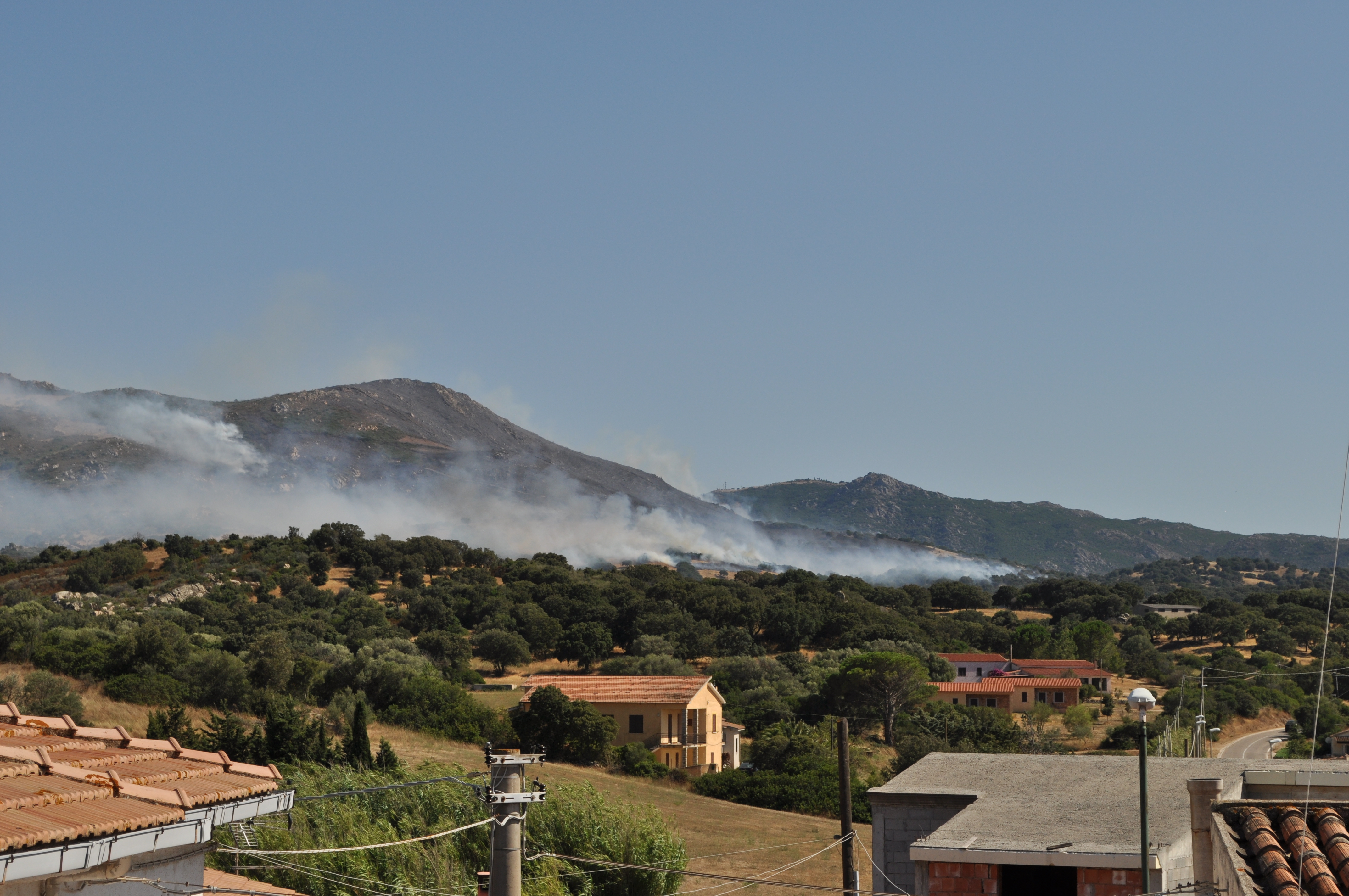 olbia berchiddeddu incendio campagna 1