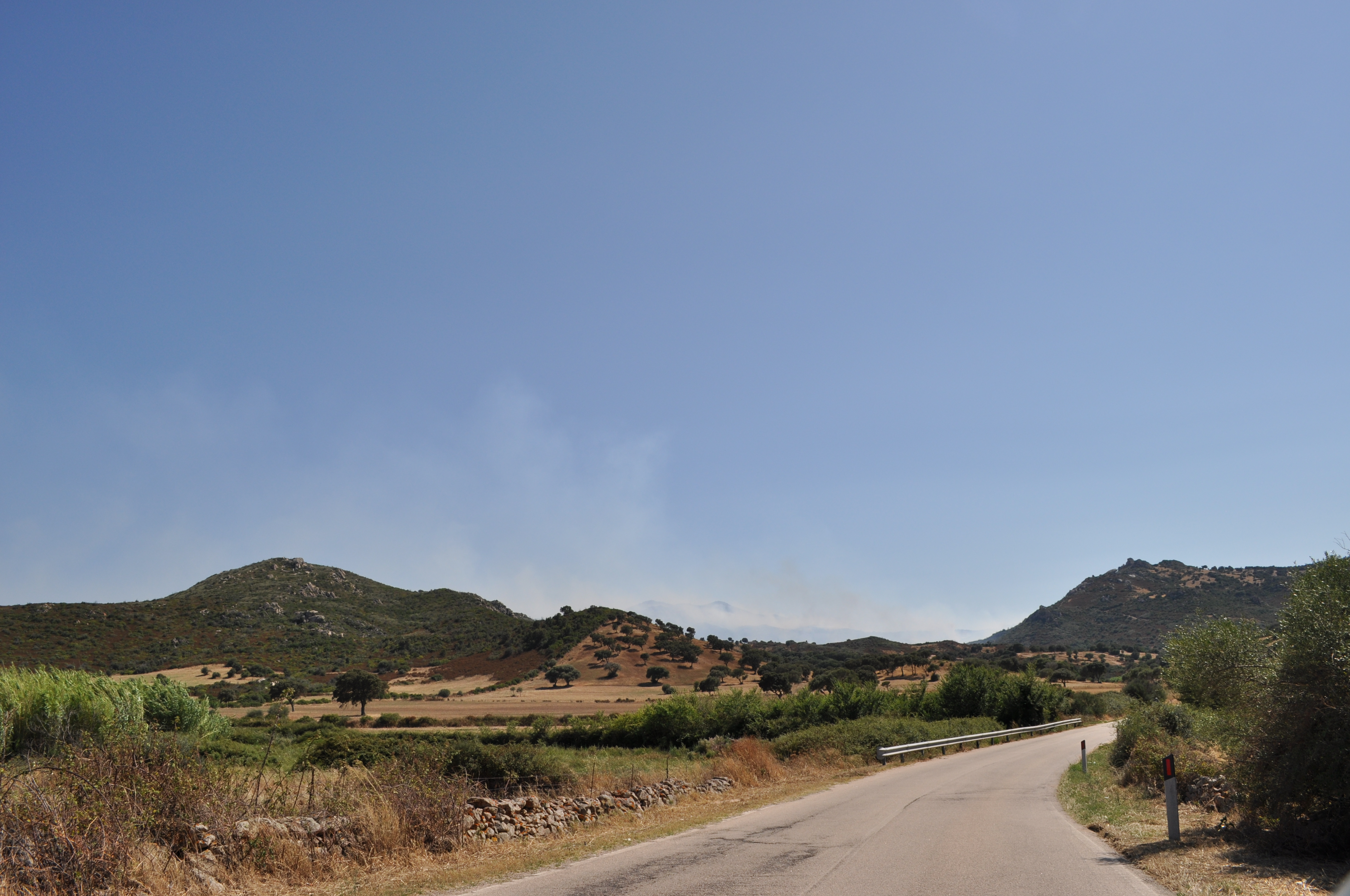 olbia berchiddeddu incendio campagna 5