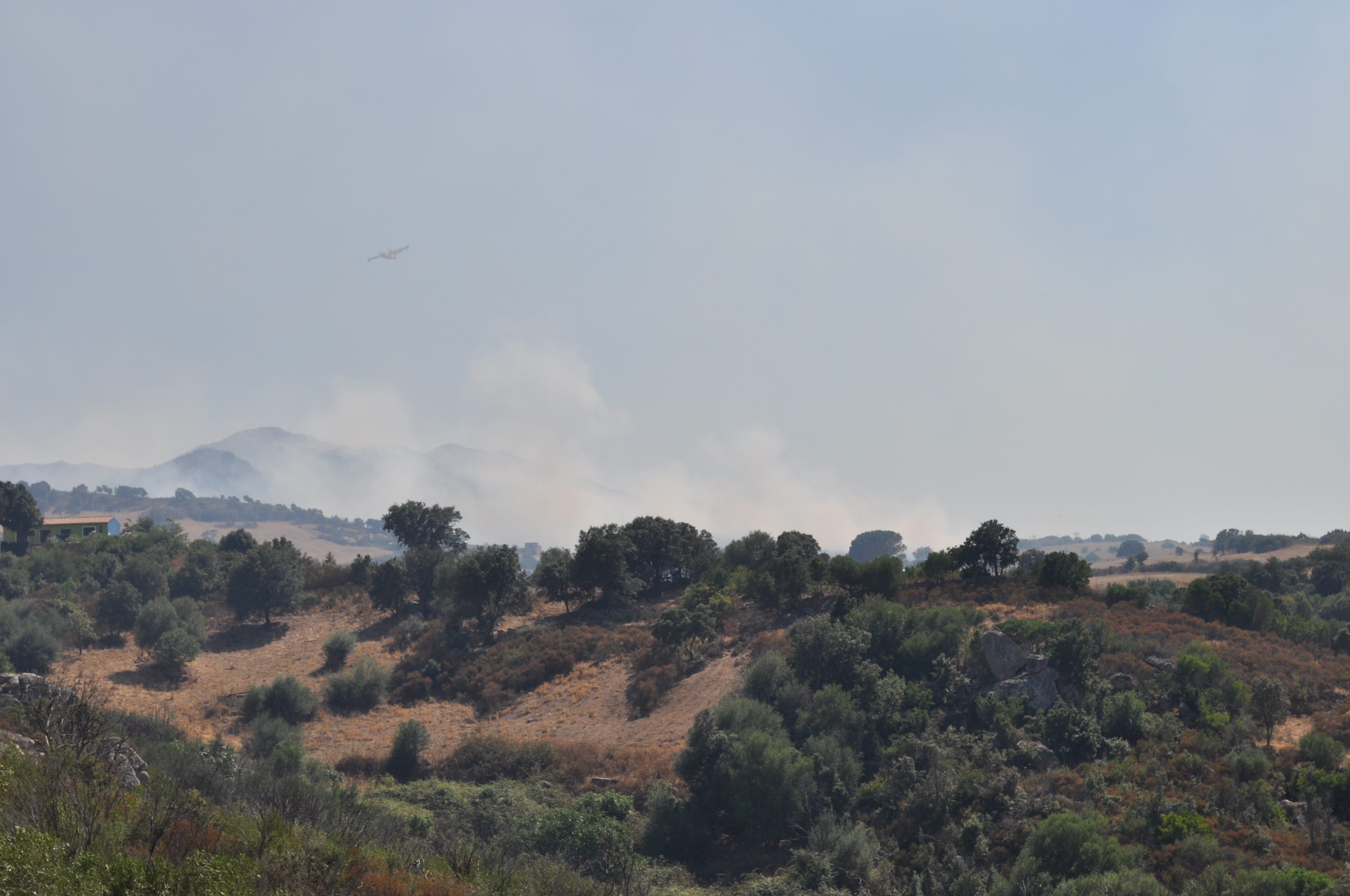 olbia berchiddeddu incendio campagna 6