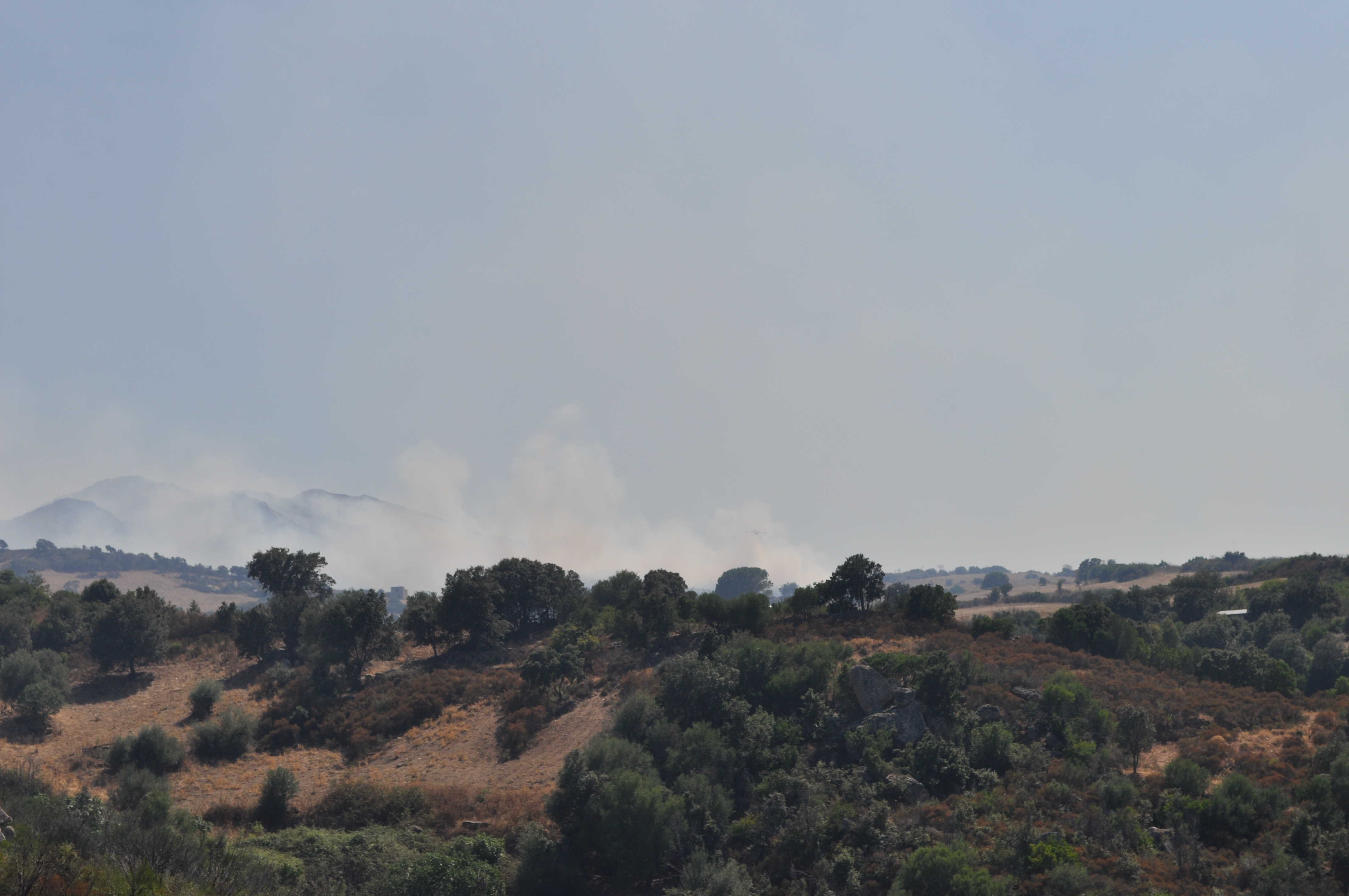 olbia berchiddeddu incendio campagna 7