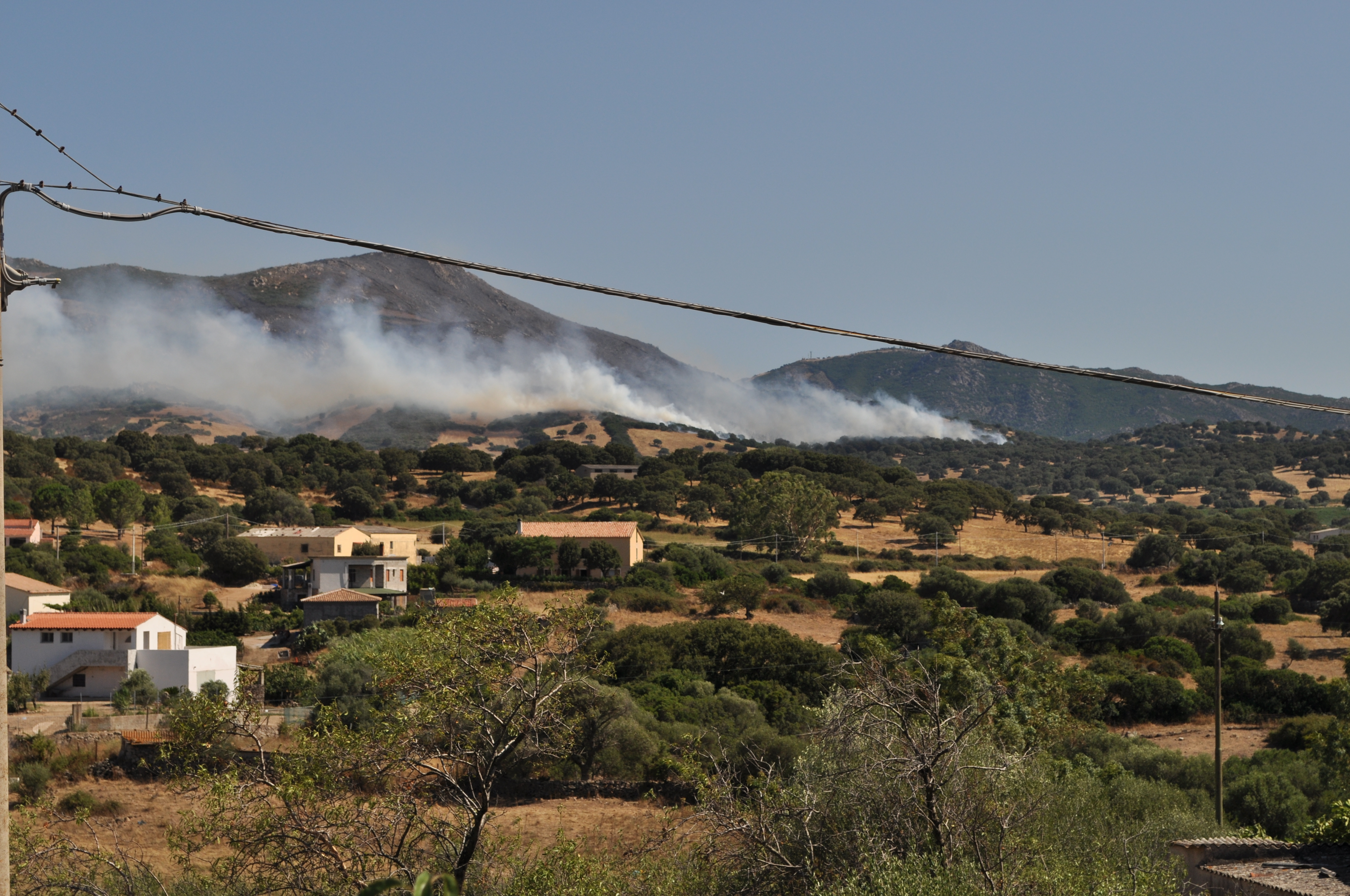 olbia berchiddeddu incendio campagna4