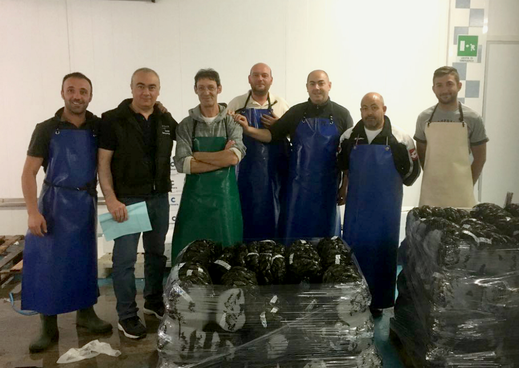 spano group pescheria spesati pesce fresco consegna a domicilio pesce pulito cozze di olbia