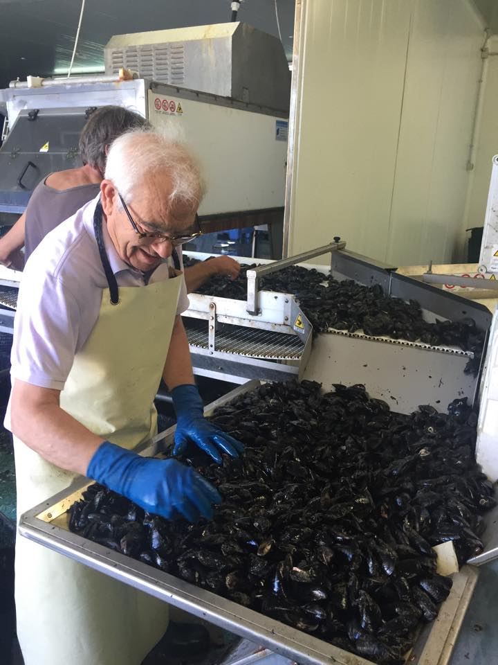 spano group pesce spesaticom pesce fresco consegna a domicilio pesce pulito cozze di olbia2