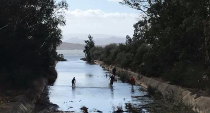 olbia pesca canale