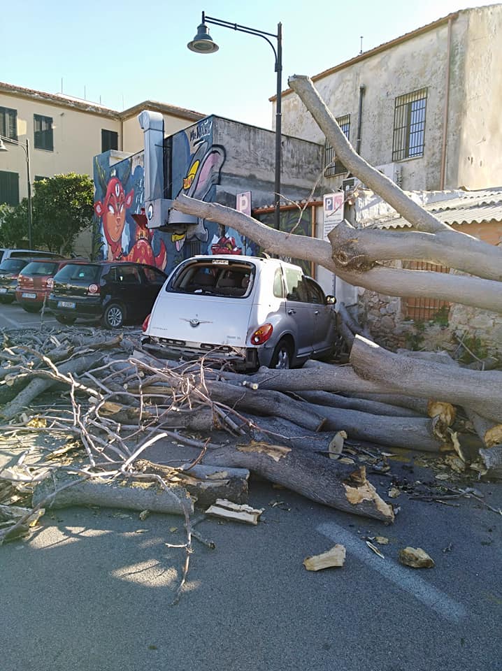 albero caduto ferrovia olbia 2