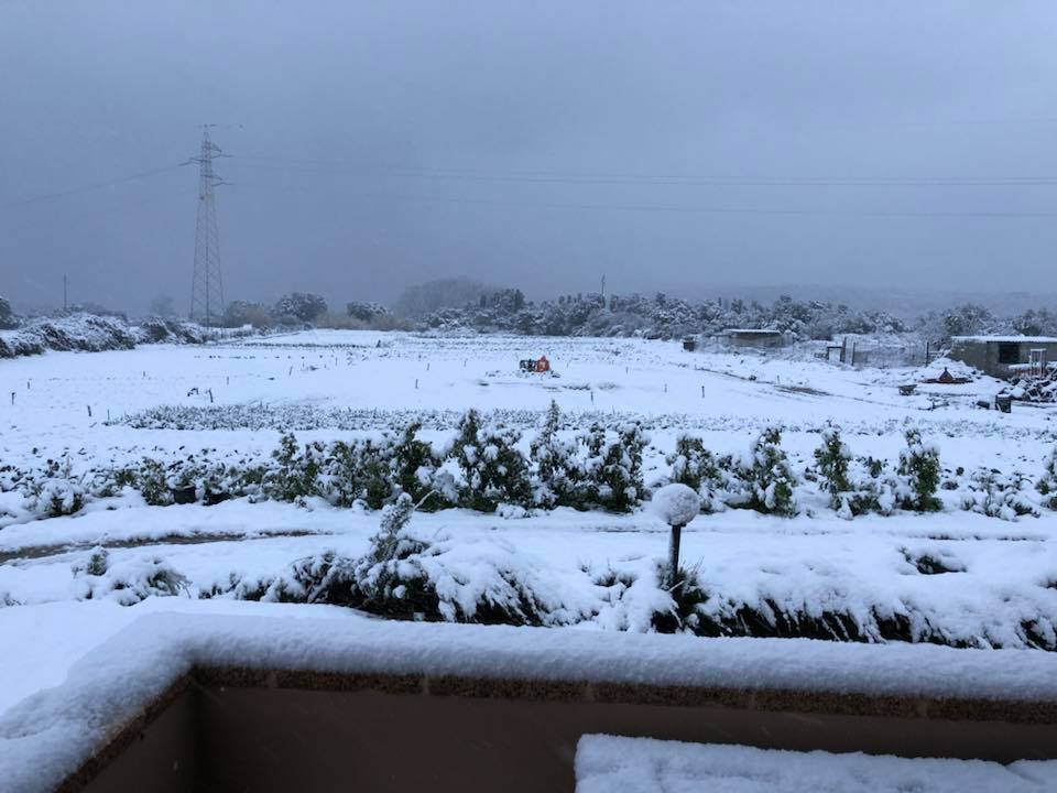 olbia cugnana neve maltempo meteo