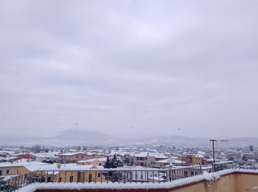 olbia neve isticcadeddu