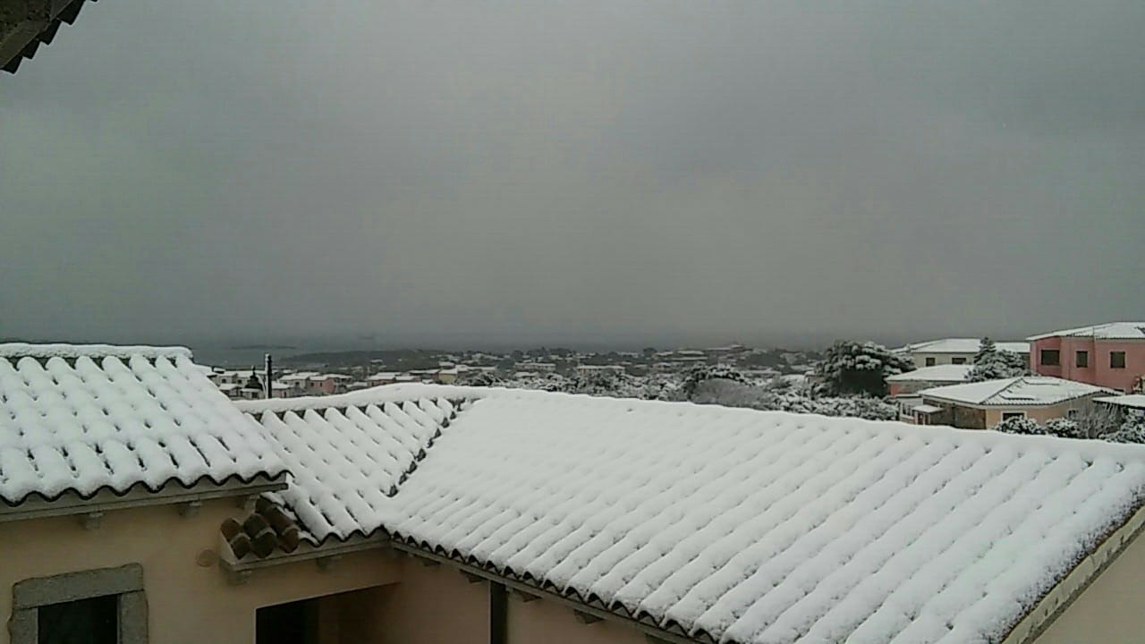 olbia neve pittulongu