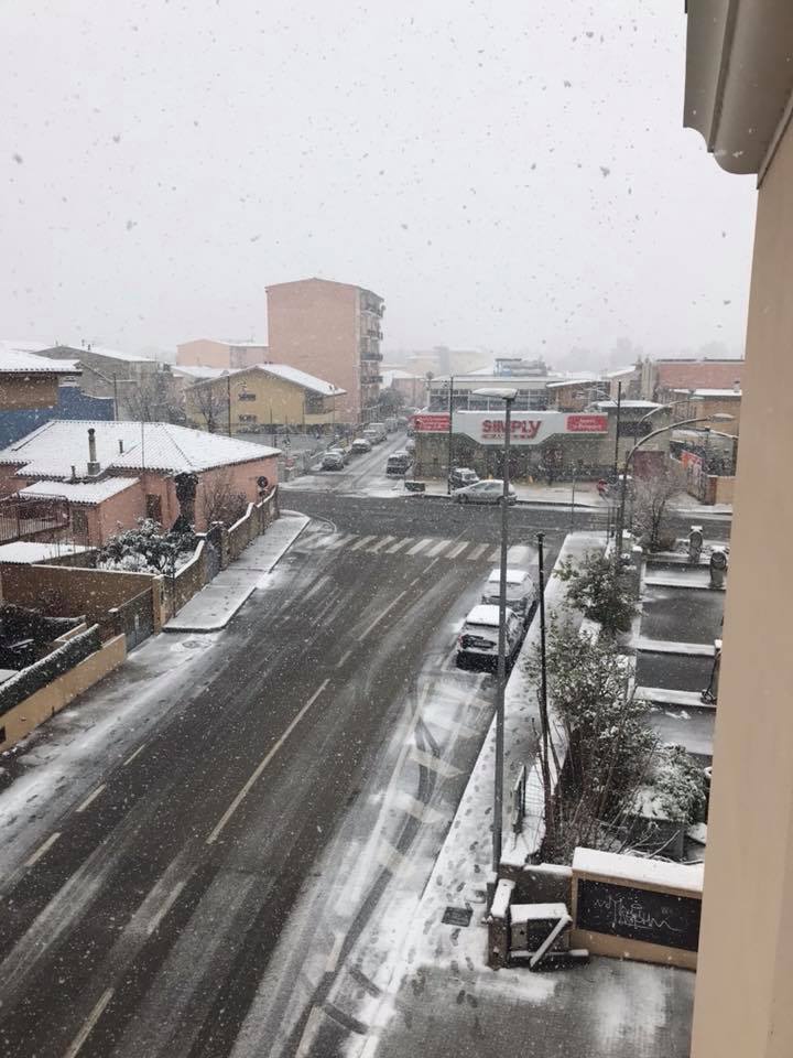 olbia neve via cimabue