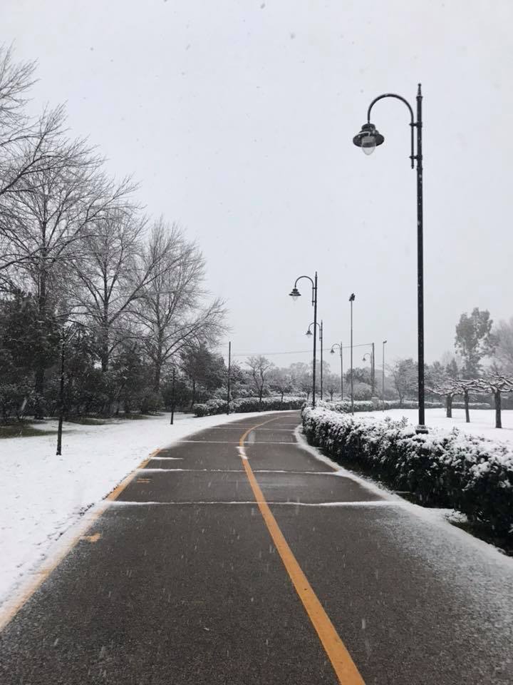 olbia parco fausto noce neve