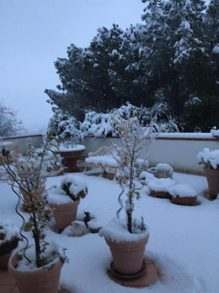 olbia porto rotondo neve meteo maltempo