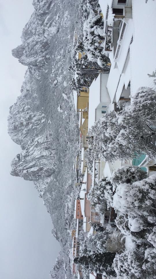 olbia san pantaleo neve