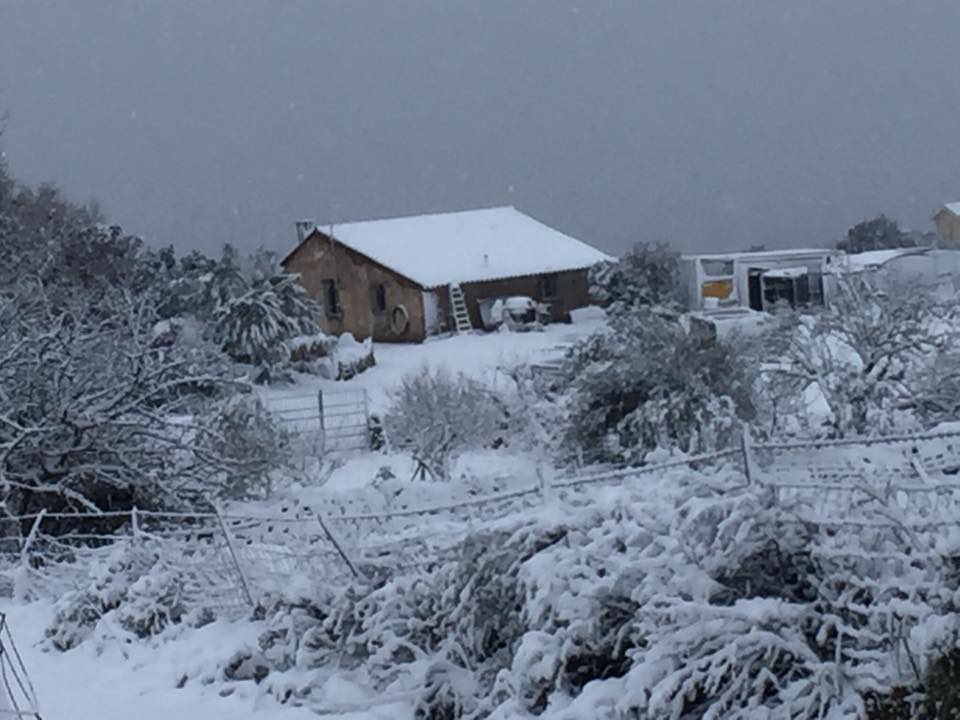 osseddu olbia due neve maltempo meteo