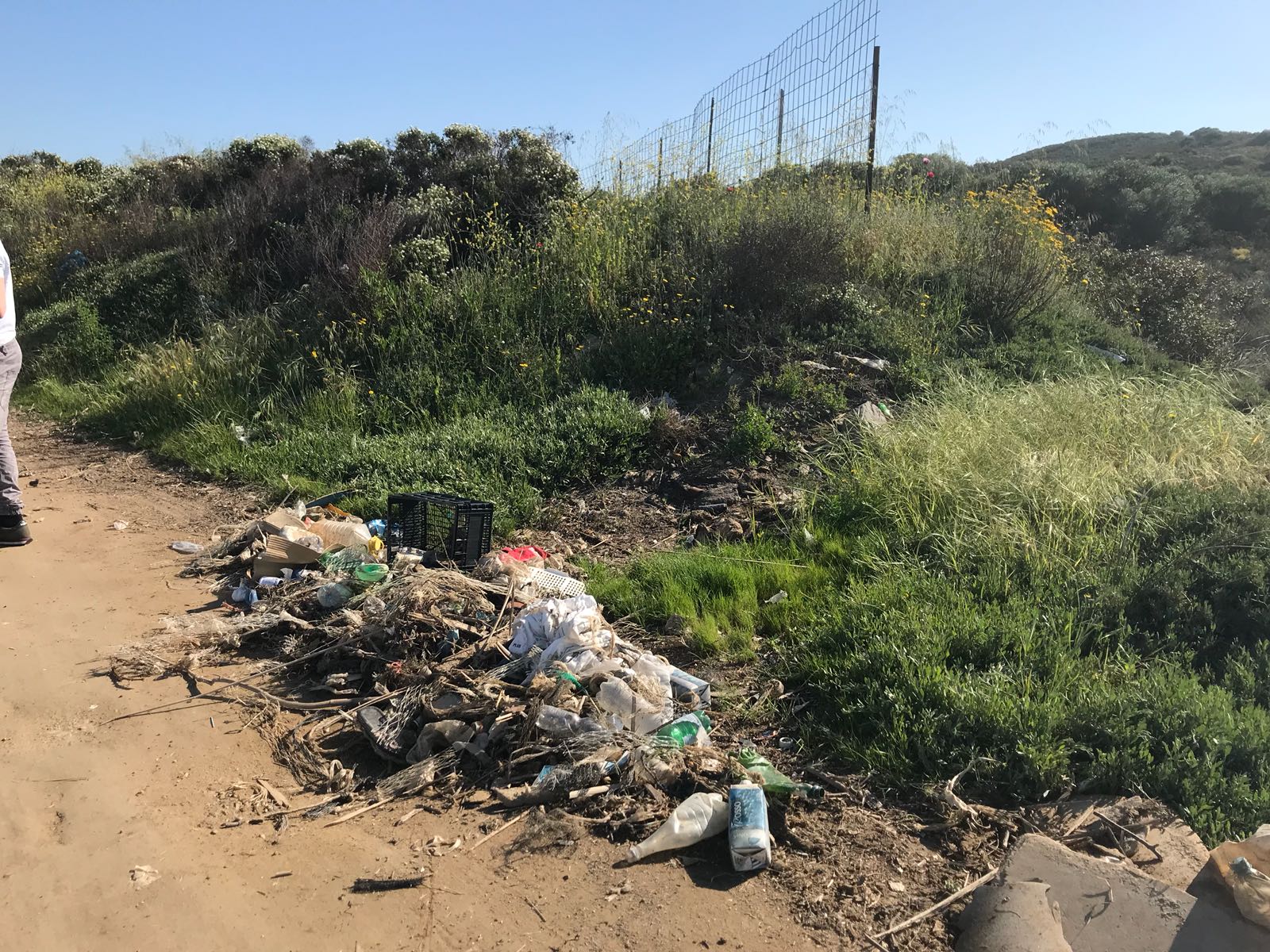 cala saccaia raccolta rifiuti velapuliamo cozze11