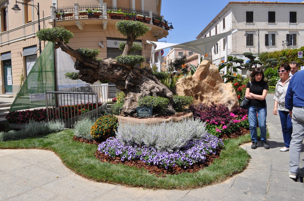 olbia in fiore centro storico fiori 002