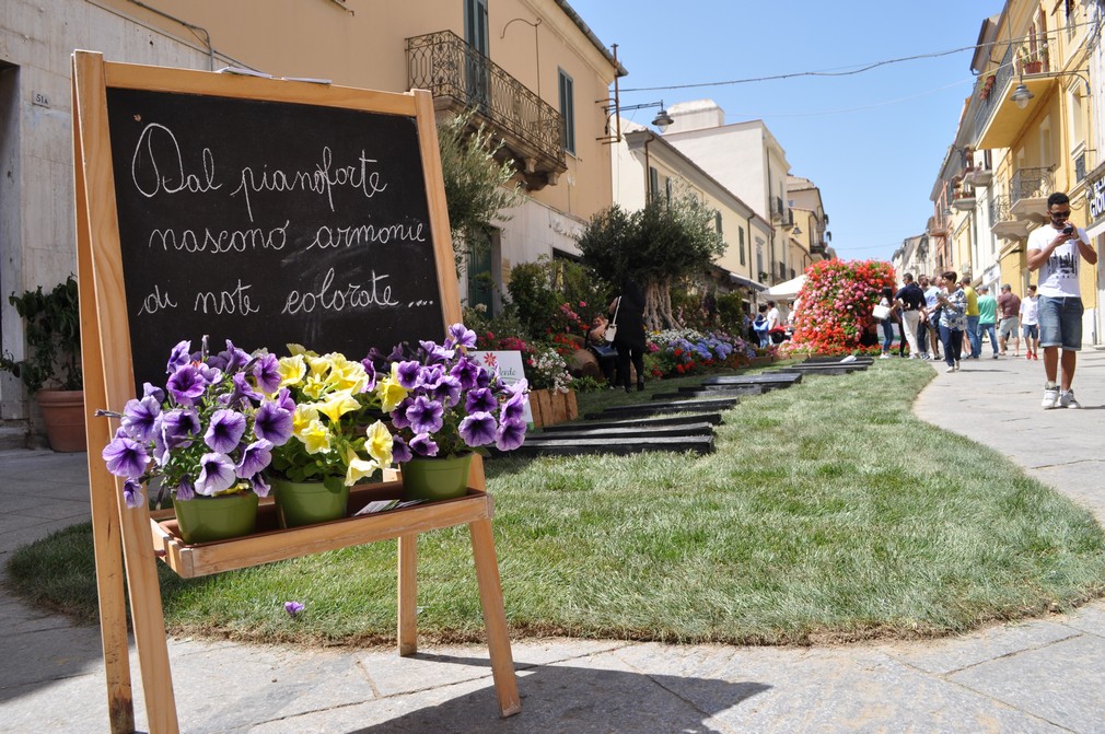 olbia in fiore centro storico fiori 010