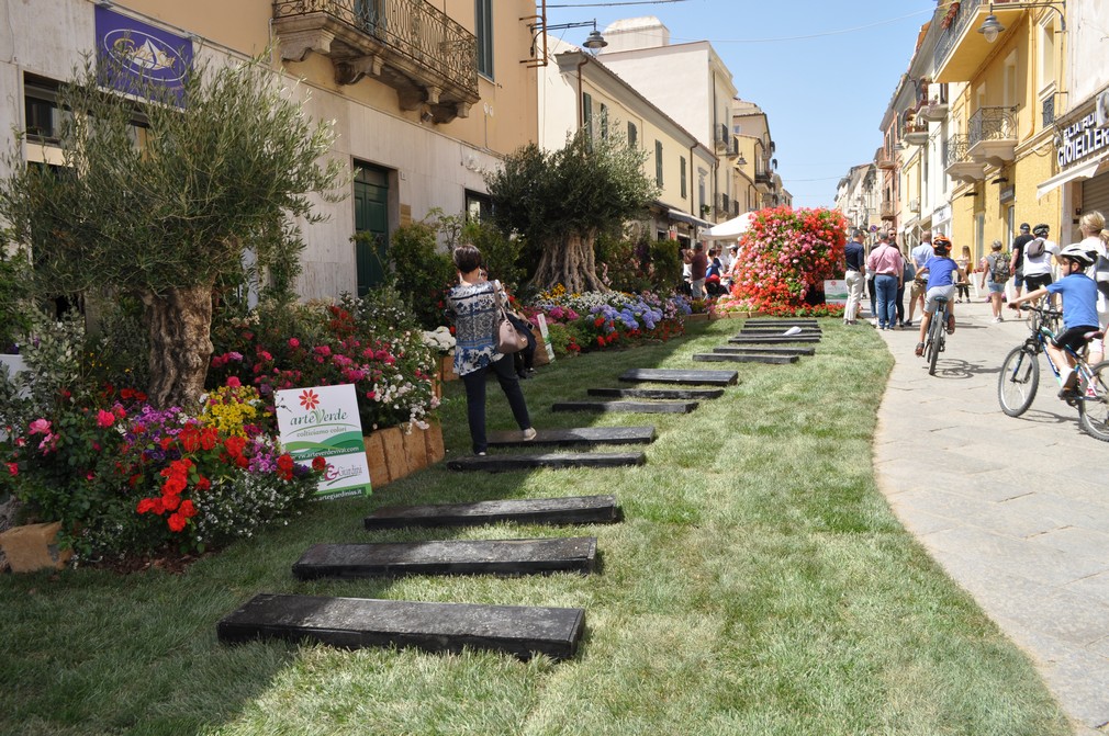 olbia in fiore centro storico fiori 012