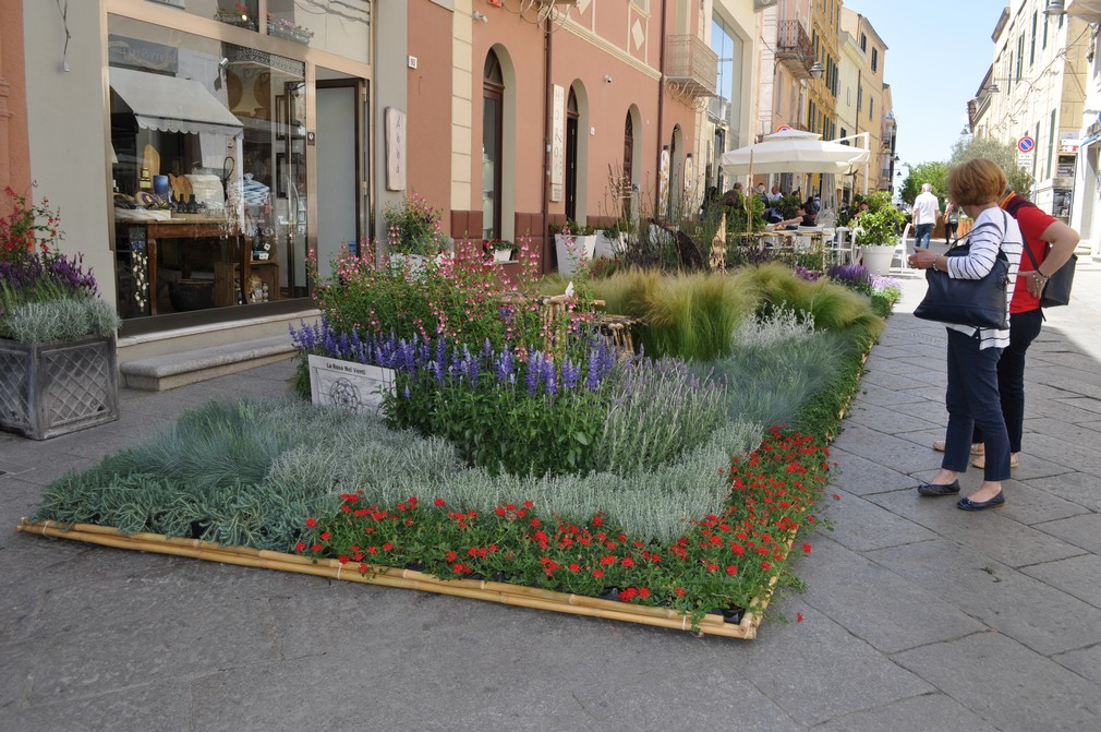 olbia in fiore centro storico fiori 013