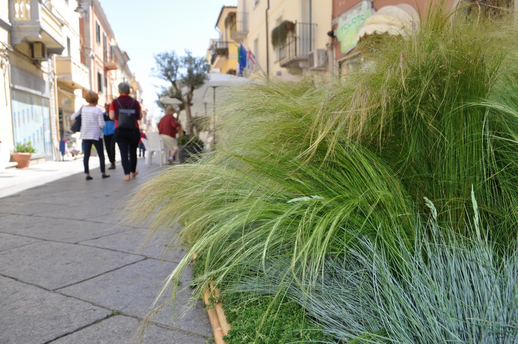 olbia in fiore centro storico fiori 014