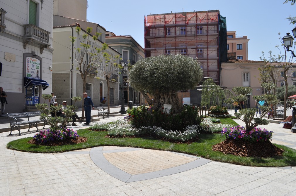 olbia in fiore centro storico fiori 018