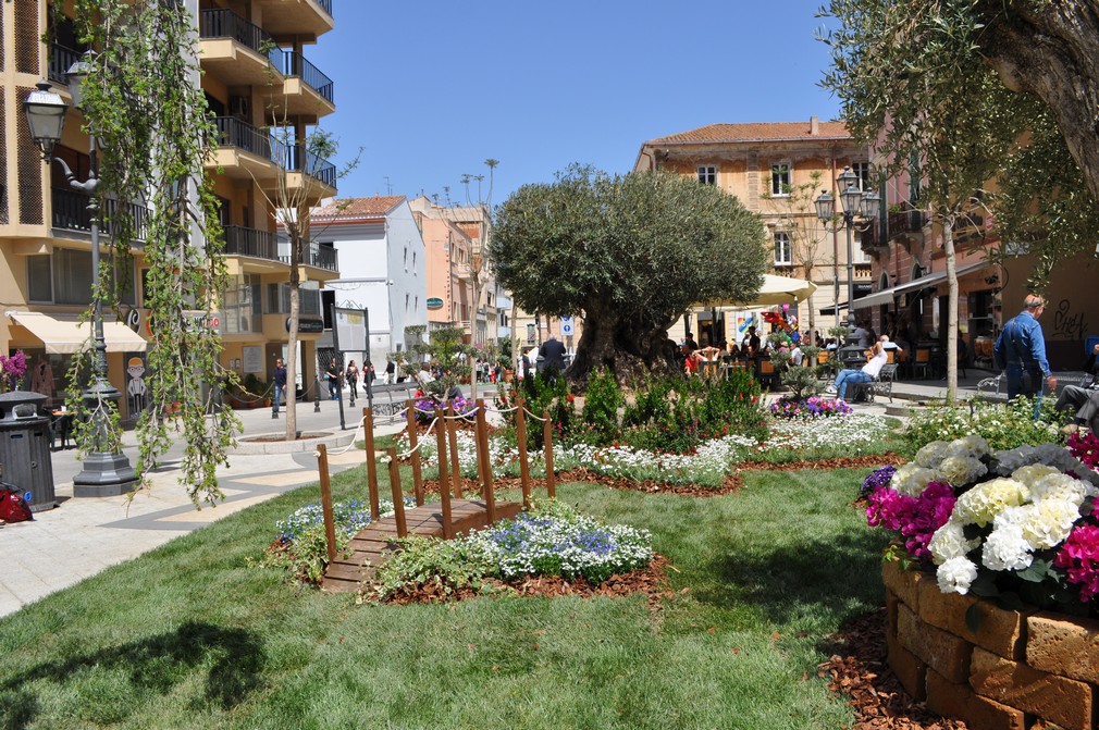 olbia in fiore centro storico fiori 025