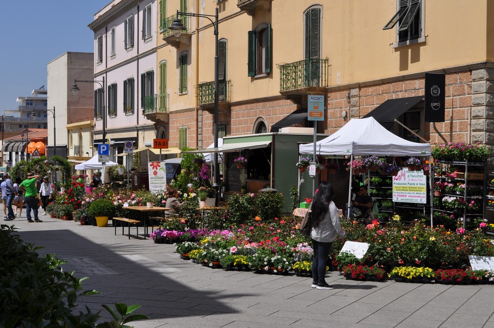 olbia in fiore centro storico fiori 034