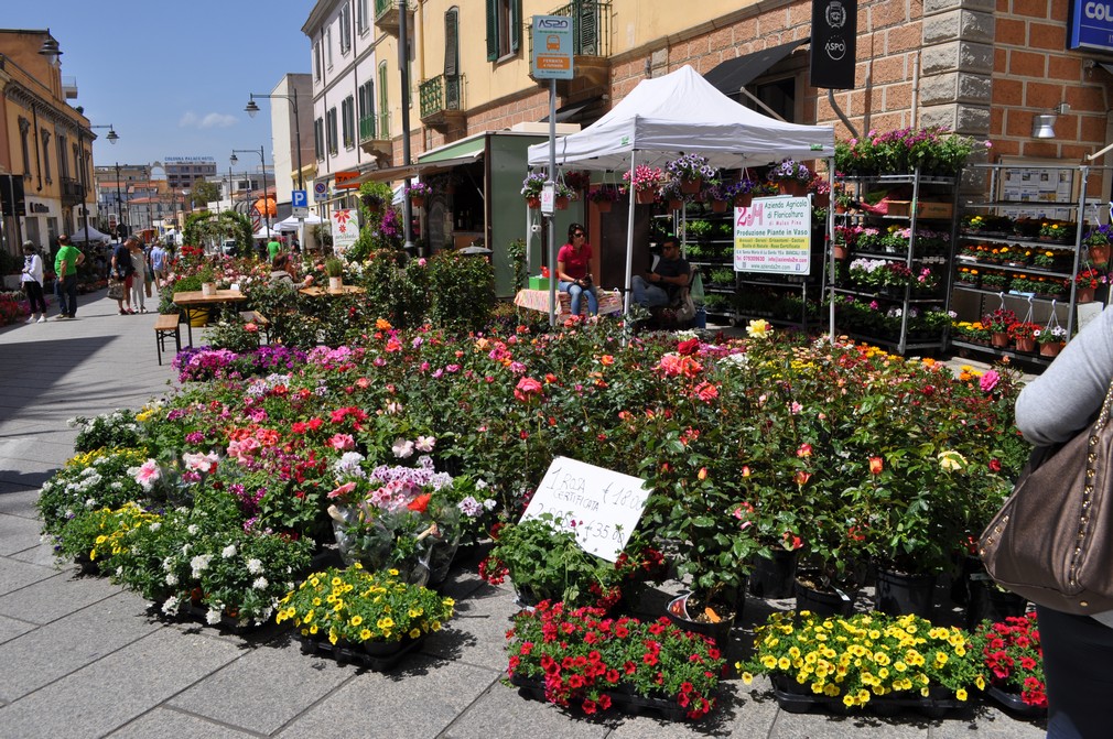olbia in fiore centro storico fiori 036