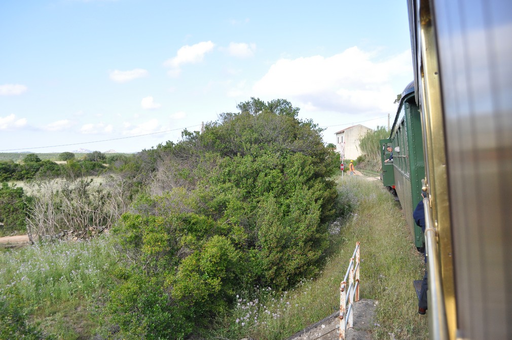 educational trenino verde diga liscia lago arzachena stazione ferrovia arst palau110